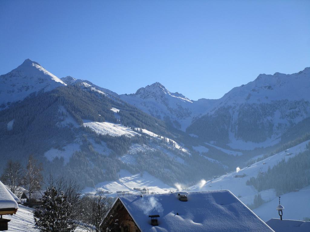 Roßmoos Apartment Alpbach